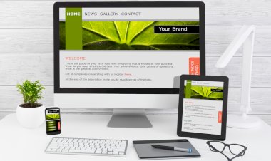 Role of Progressive Web App in Web Development